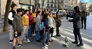 Curs de llenguatge preparació a les proves d’accés a grau professional